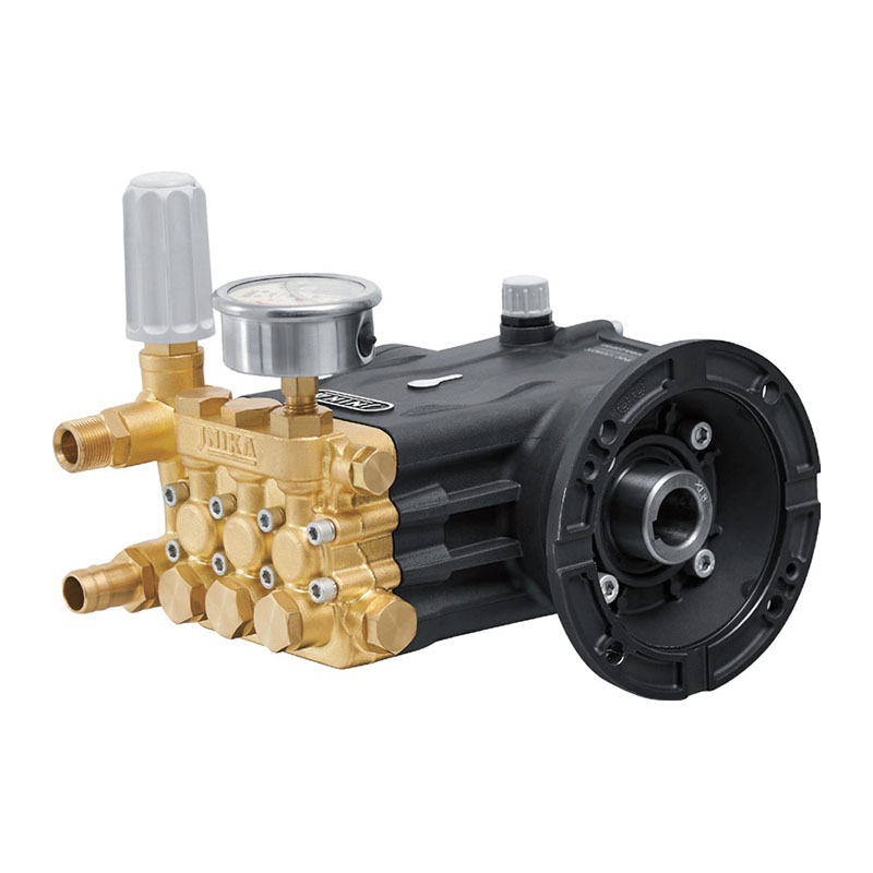 80BBBR Pulchra Pump cum 2.5KW
